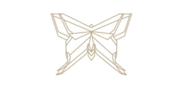 Geometric Butterfly logo